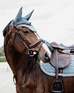 equestrian websites and branding